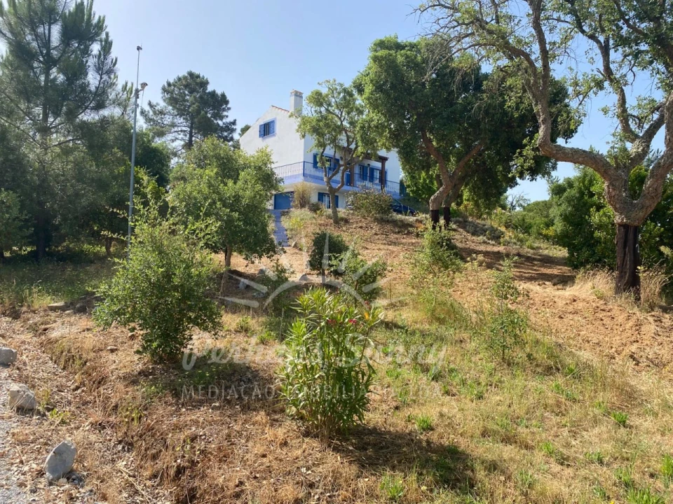 Quinta T3 para Venda em Melides Foto 52