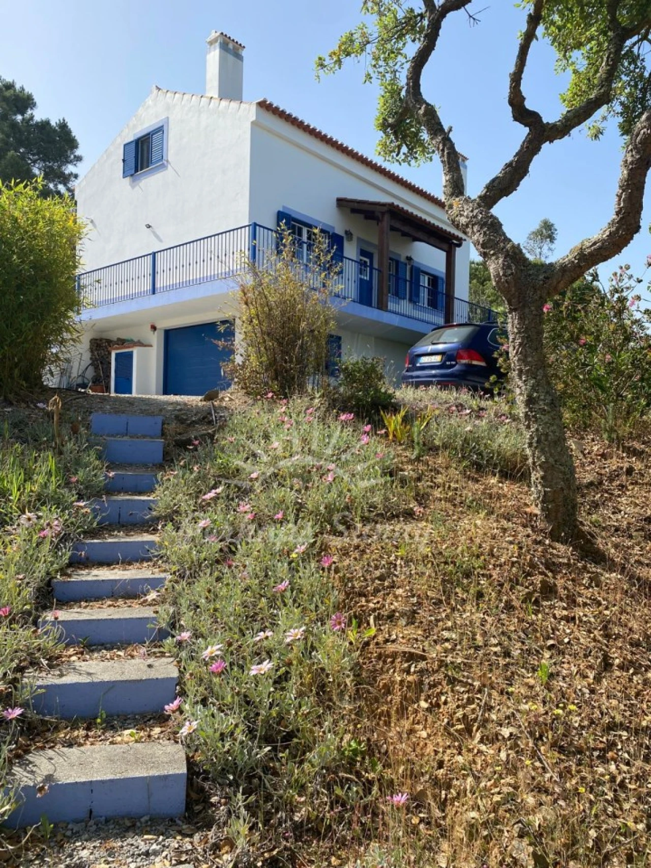 Quinta T3 para Venda em Melides Foto 7