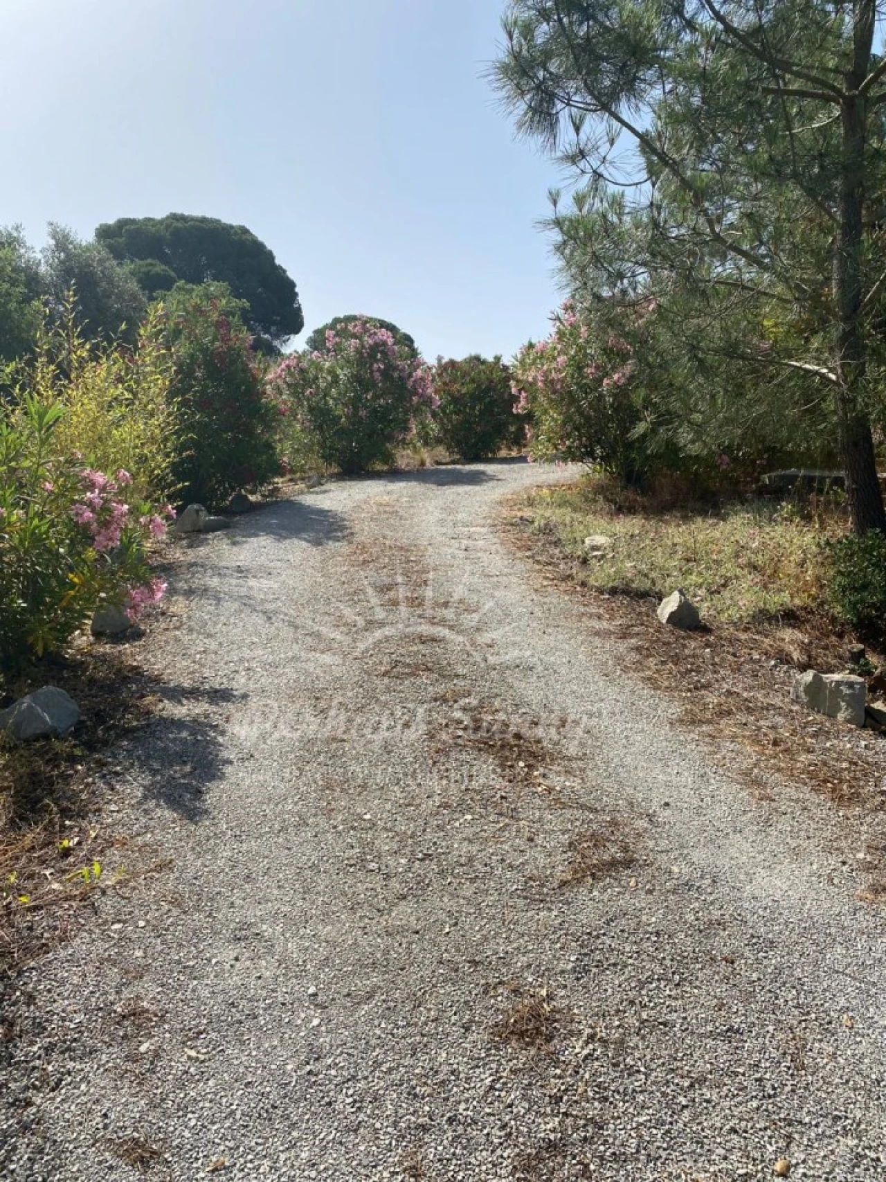 Quinta T3 para Venda em Melides Foto 10