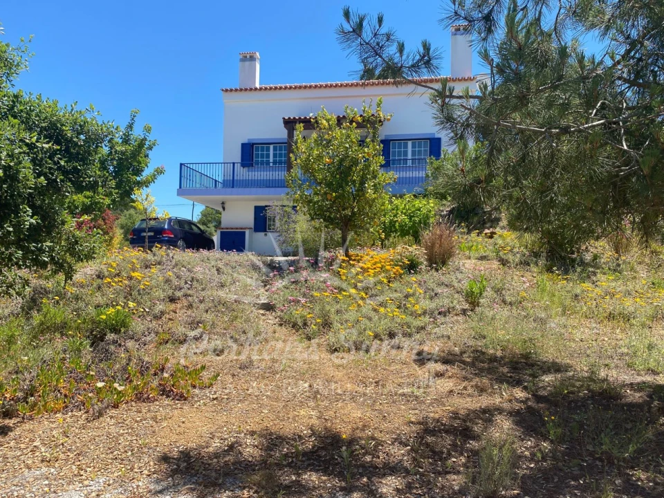 Quinta T3 para Venda em Melides Foto 49