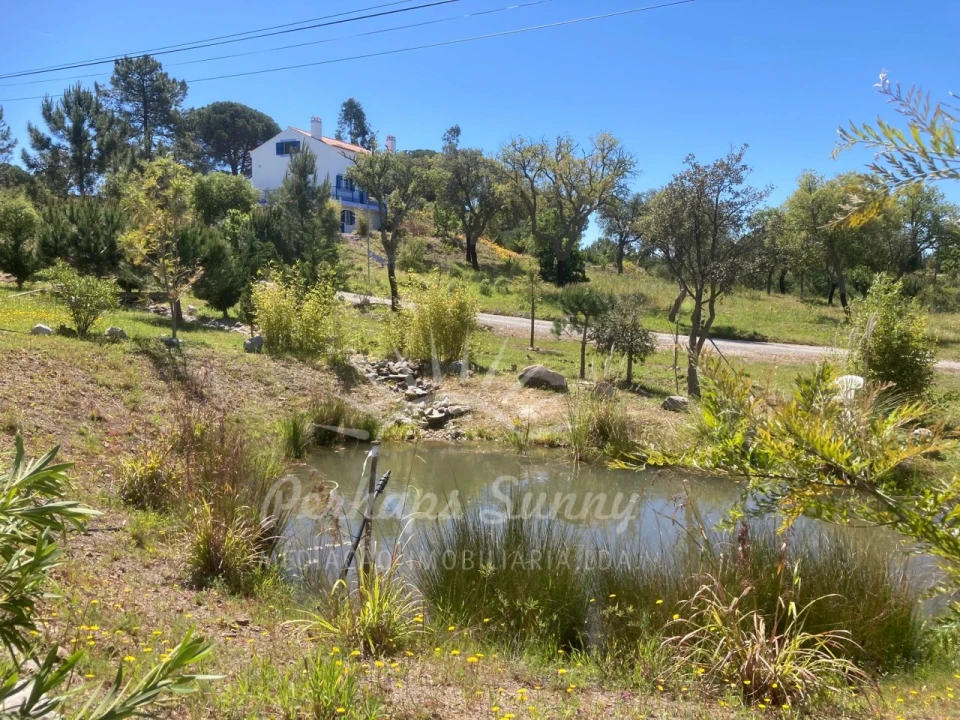 Quinta T3 para Venda em Melides Foto 58