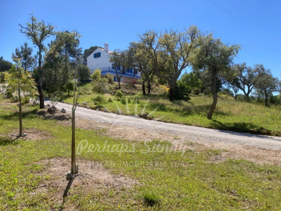 Quinta T3 para Venda em Melides Foto 19