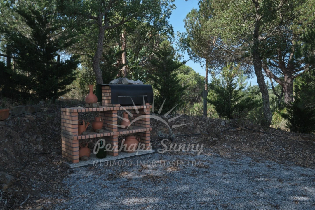 Quinta T3 para Venda em Melides Foto 20