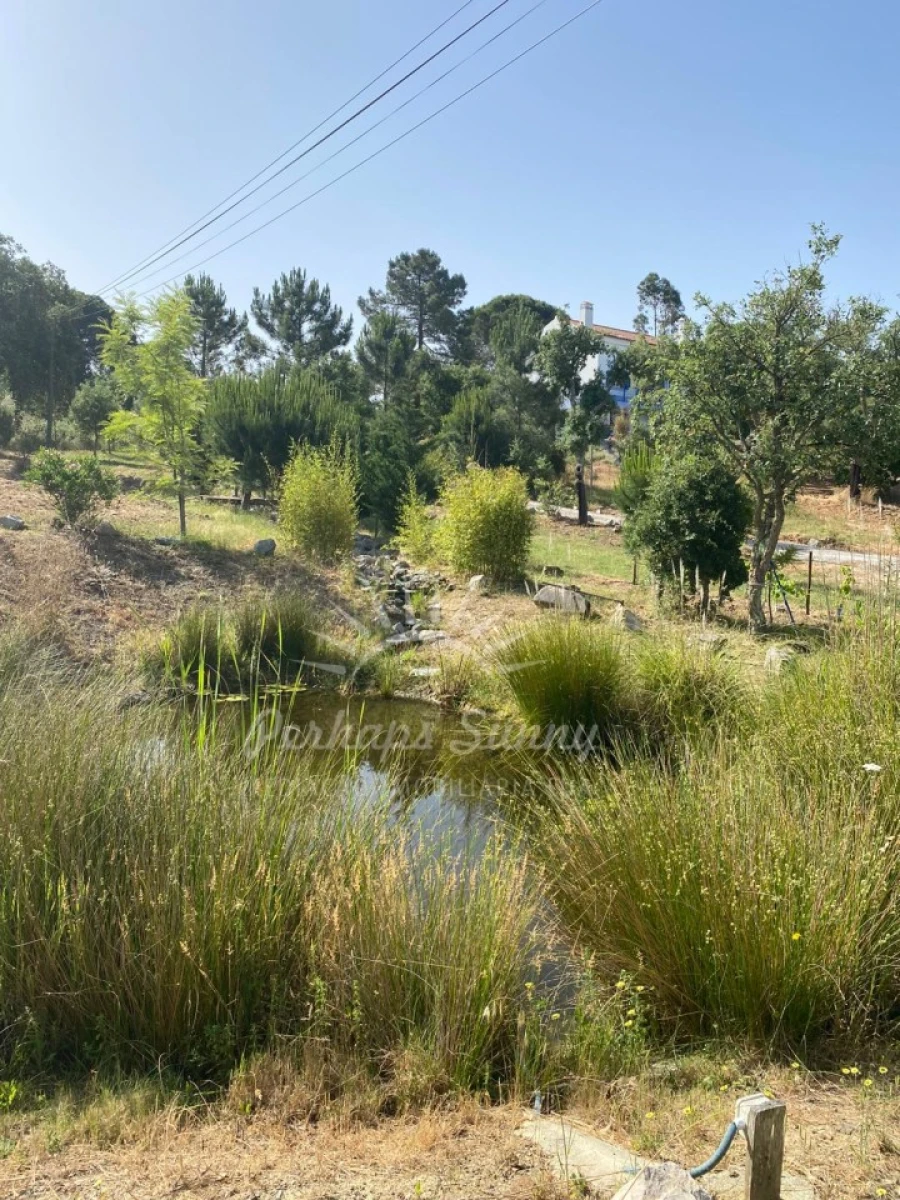 Quinta T3 para Venda em Melides Foto 12