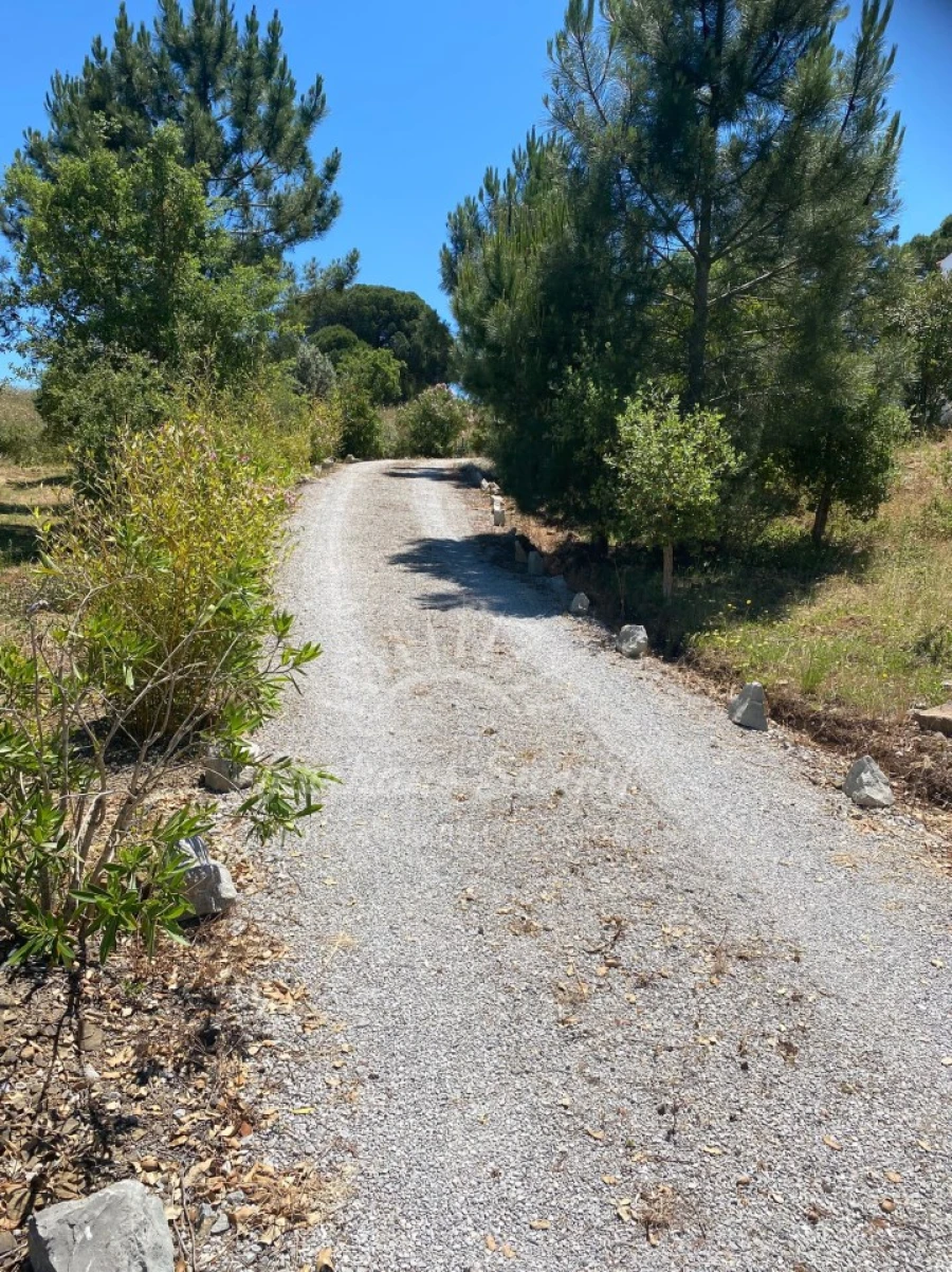 Quinta T3 para Venda em Melides Foto 59