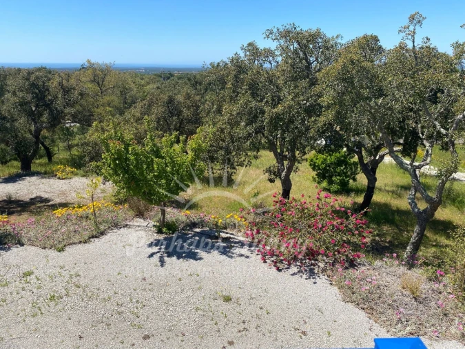 Quinta T3 para Venda em Melides Foto 13