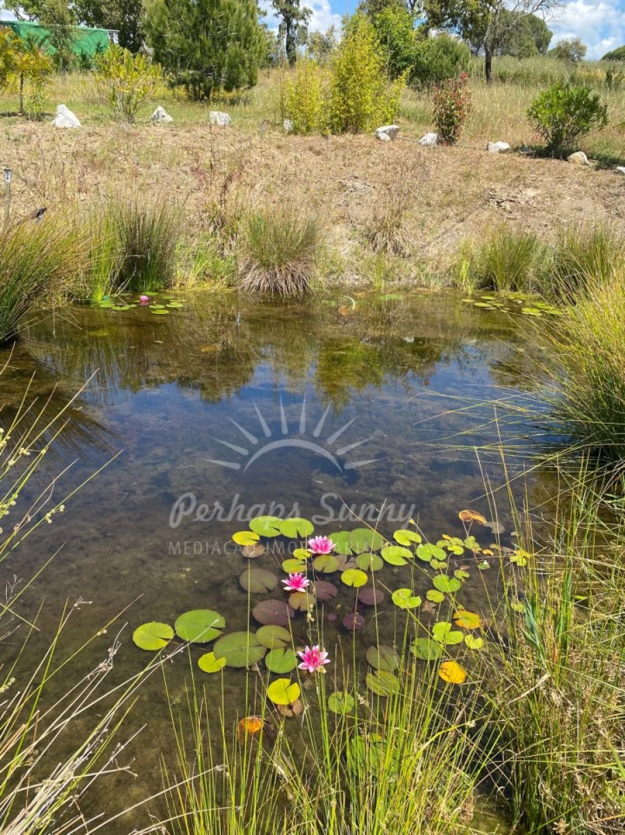 Quinta T3 para Venda em Melides Foto 15