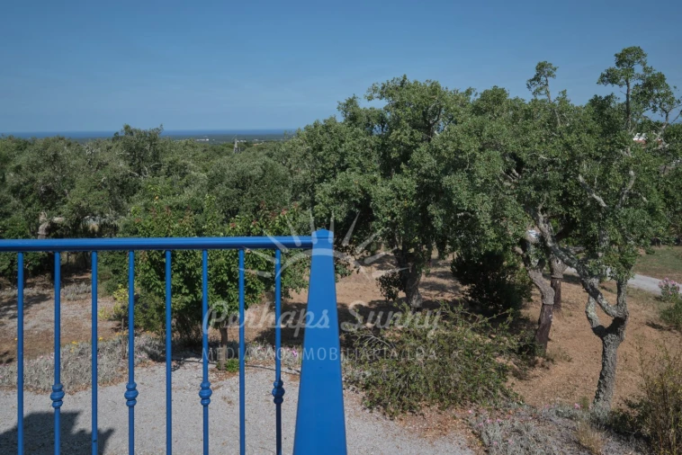 Quinta T3 para Venda em Melides Foto 50