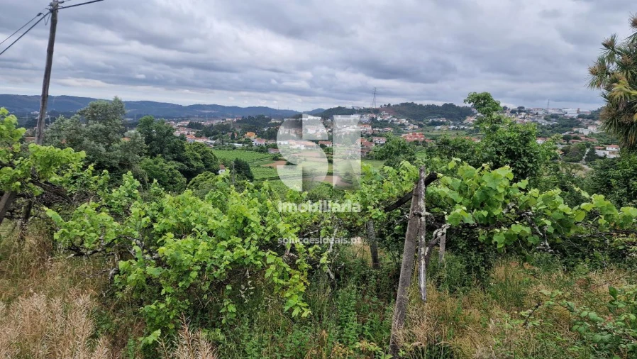 Terreno para Venda em Astromil Foto 4