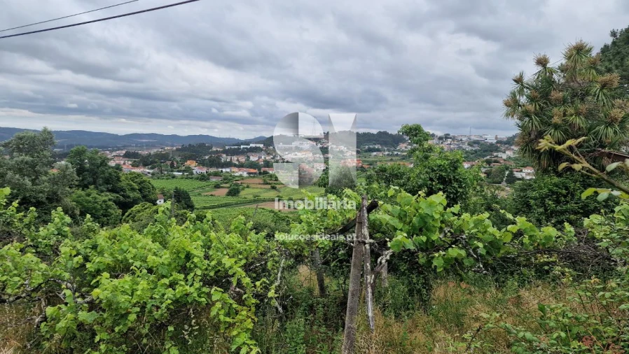 Terreno para Venda em Astromil Foto 6