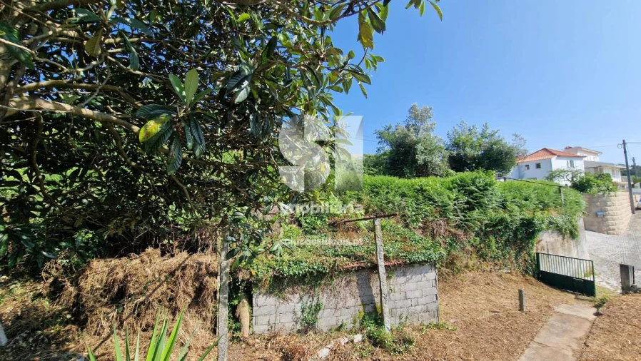 Terreno para Venda em Astromil Foto 15