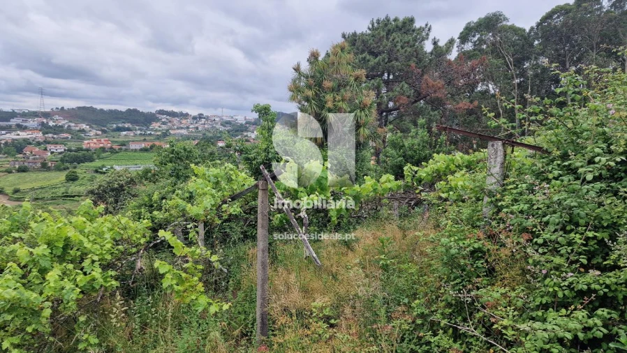 Terreno para Venda em Astromil Foto 18