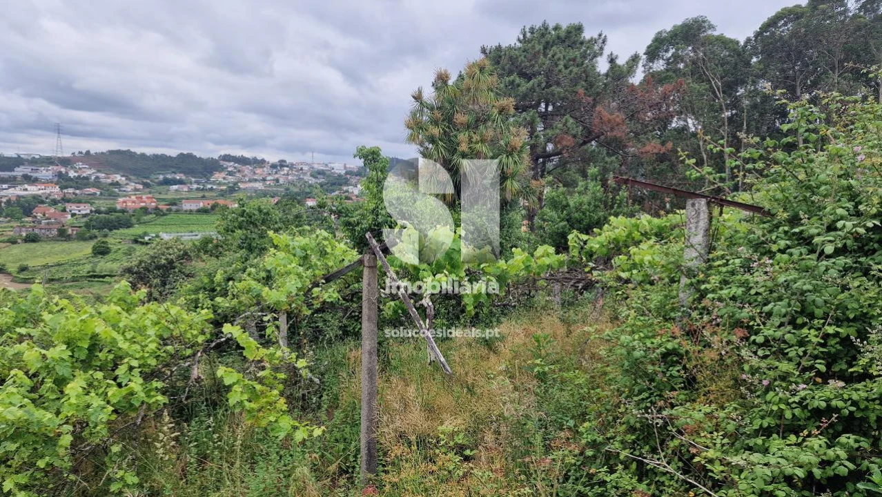 Terreno para Venda em Astromil Foto 18