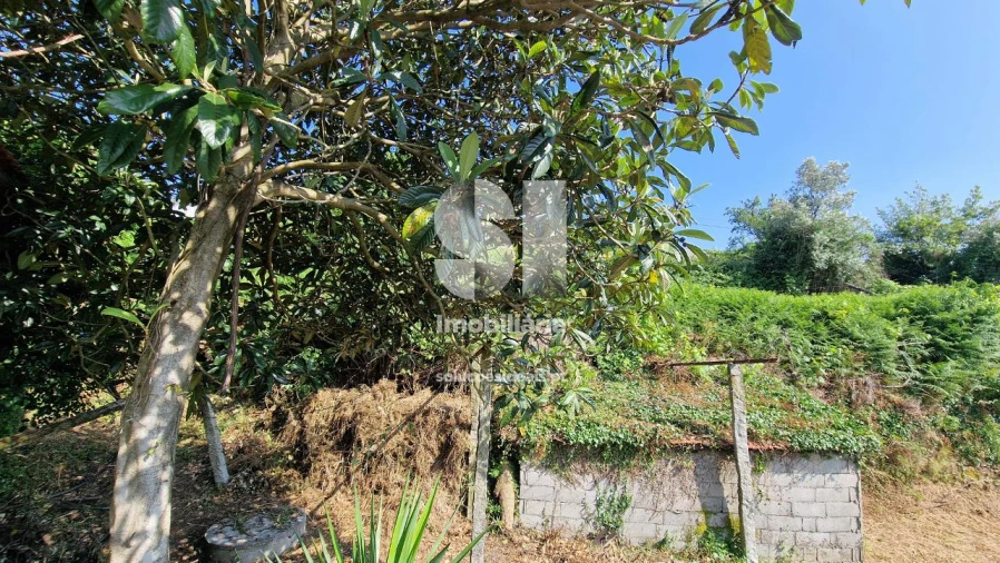 Terreno para Venda em Astromil Foto 11