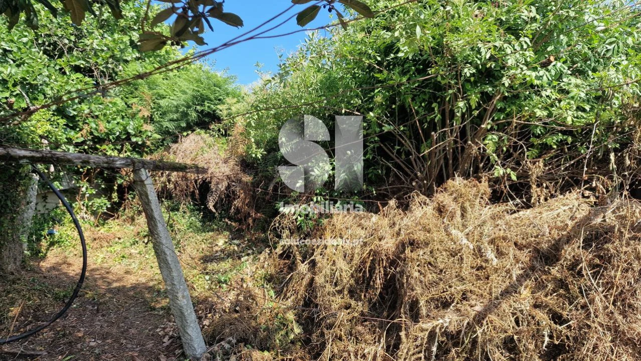 Terreno para Venda em Astromil Foto 9