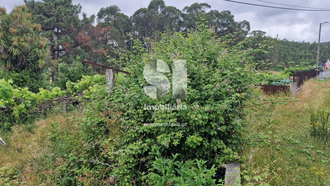 Terreno para Venda em Astromil Foto 12
