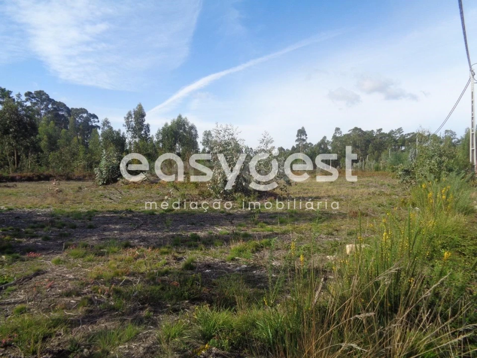Terreno para Venda em Ovar, São João, Arada e São Vicente de Pereira Jusã Foto 2