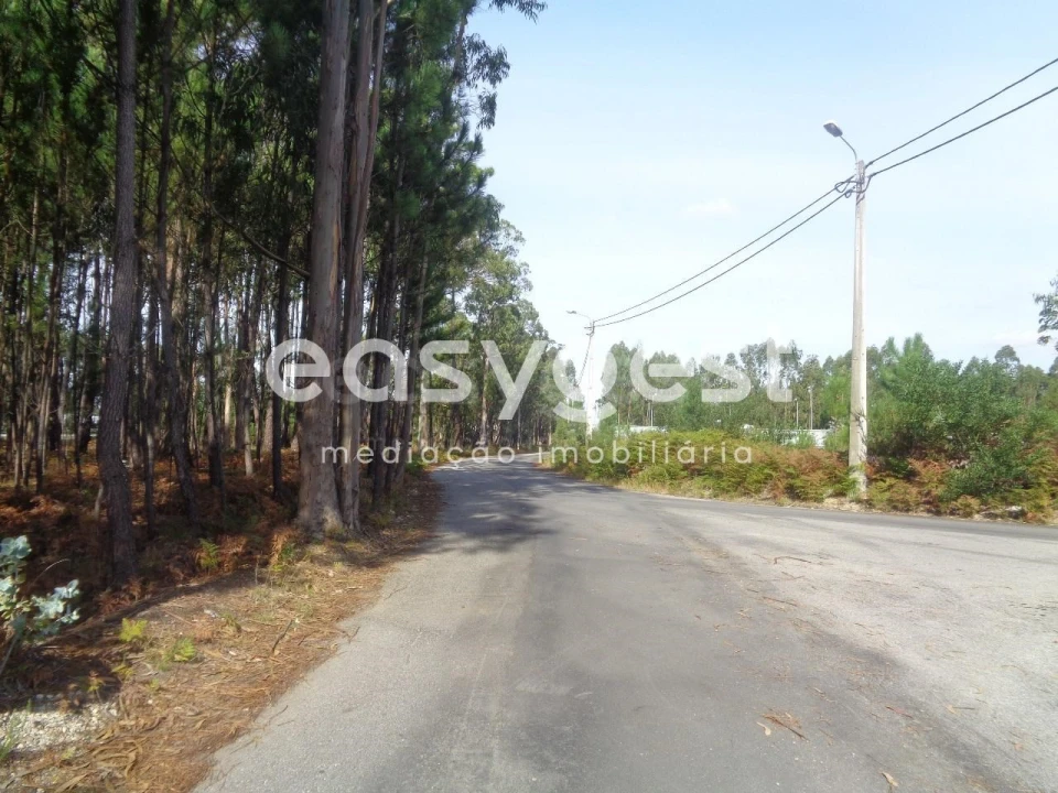Terreno para Venda em Ovar, São João, Arada e São Vicente de Pereira Jusã Foto 5