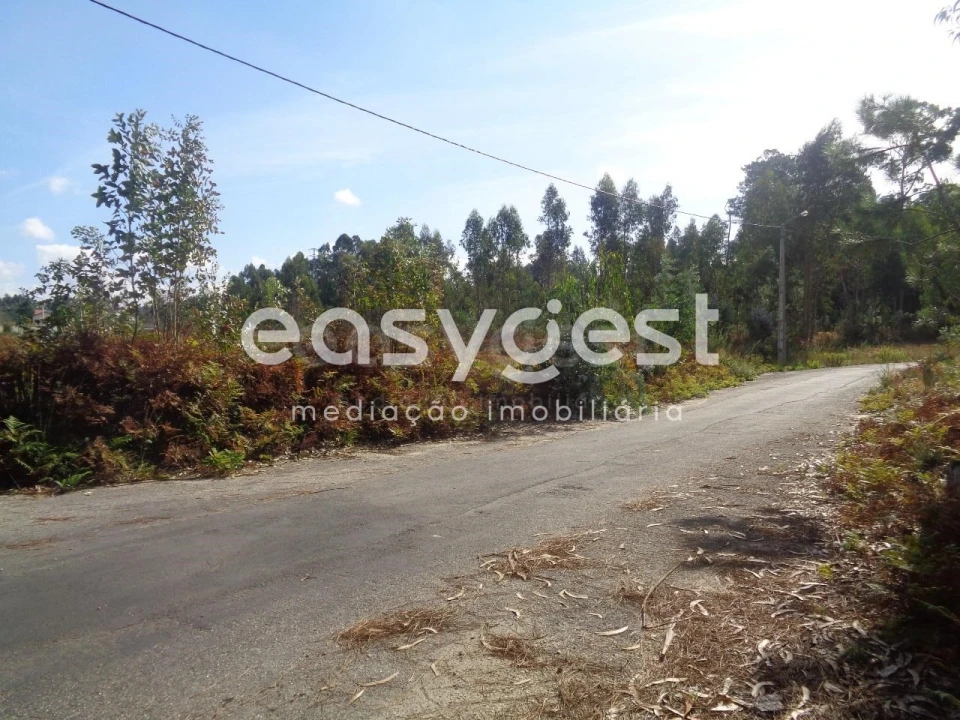 Terreno para Venda em Ovar, São João, Arada e São Vicente de Pereira Jusã Foto 6