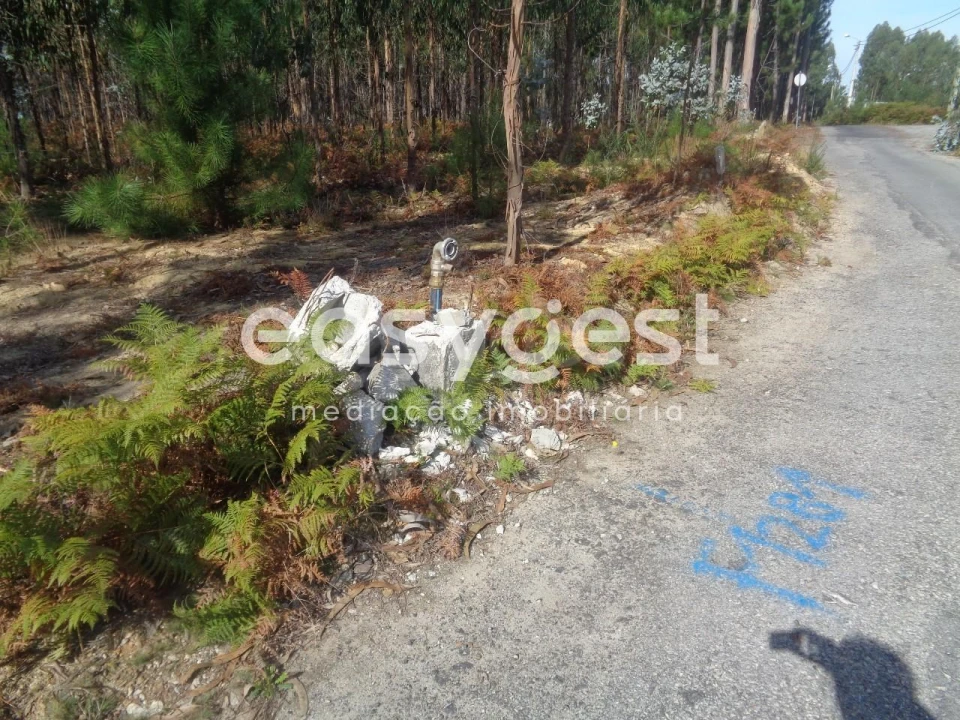Terreno para Venda em Ovar, São João, Arada e São Vicente de Pereira Jusã Foto 9