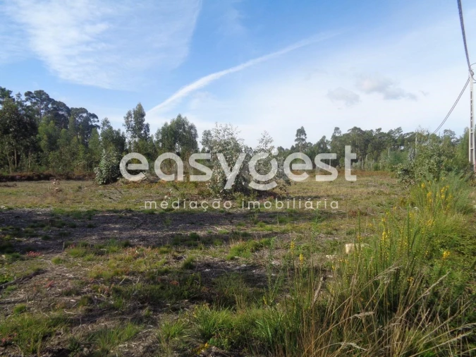 Terreno para Venda em Ovar, São João, Arada e São Vicente de Pereira Jusã Foto 2