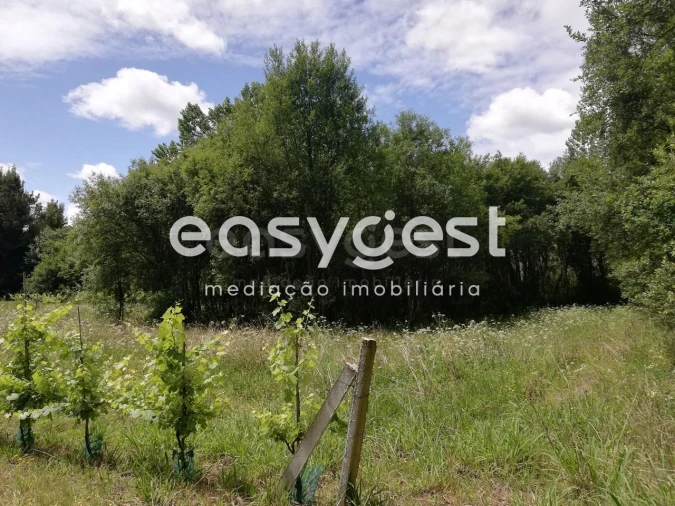 Terreno Agricola ou Rústico para Venda em Requeixo, Nossa Senhora de Fátima e Nariz