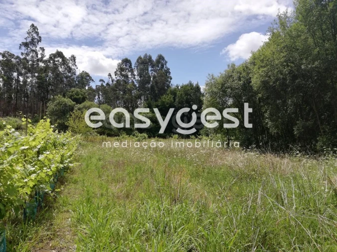 Terreno Agricola ou Rústico para Venda em Requeixo, Nossa Senhora de Fátima e Nariz Foto 3