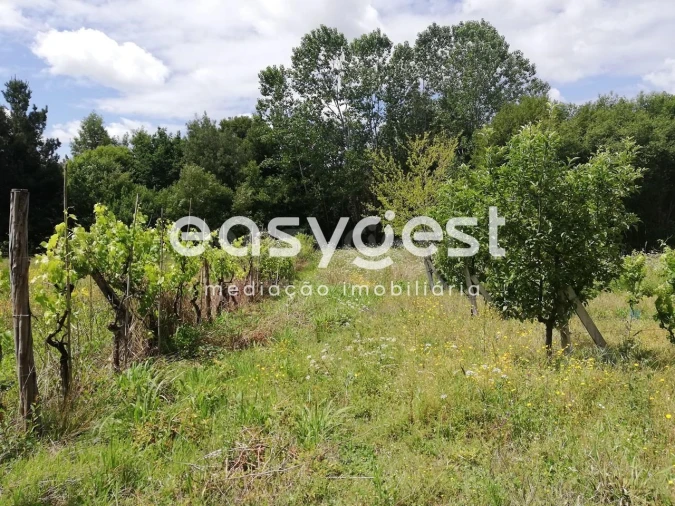 Terreno Agricola ou Rústico para Venda em Requeixo, Nossa Senhora de Fátima e Nariz Foto 5