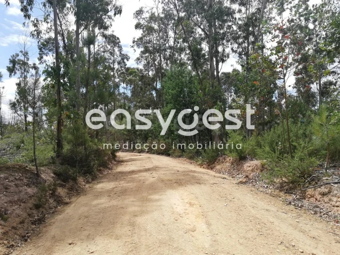 Terreno Agricola ou Rústico para Venda em Requeixo, Nossa Senhora de Fátima e Nariz Foto 11