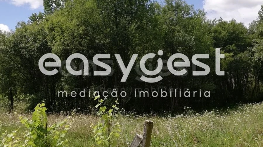 Imagem imóvel