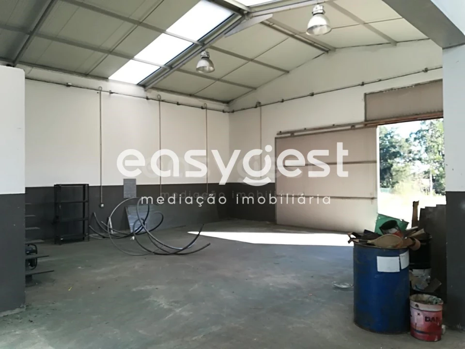 Armazém para Venda em Bustos, Troviscal e Mamarrosa Foto 11