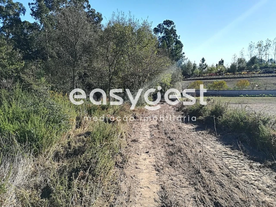 Armazém para Venda em Bustos, Troviscal e Mamarrosa Foto 22