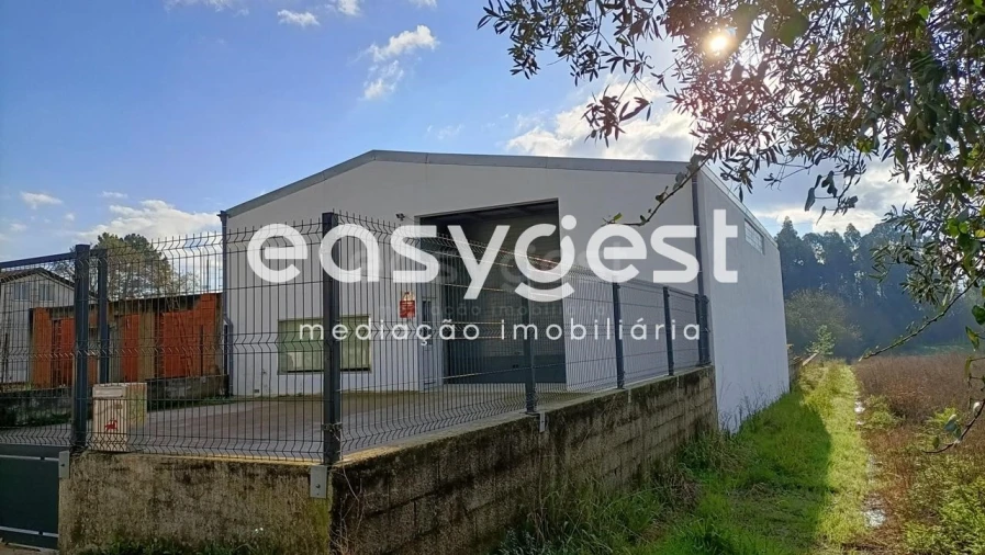 Armazém para Venda em Bustos, Troviscal e Mamarrosa Foto 3