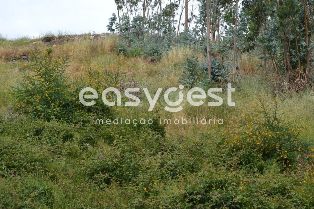 Terreno para Venda em Milheiros Foto 4