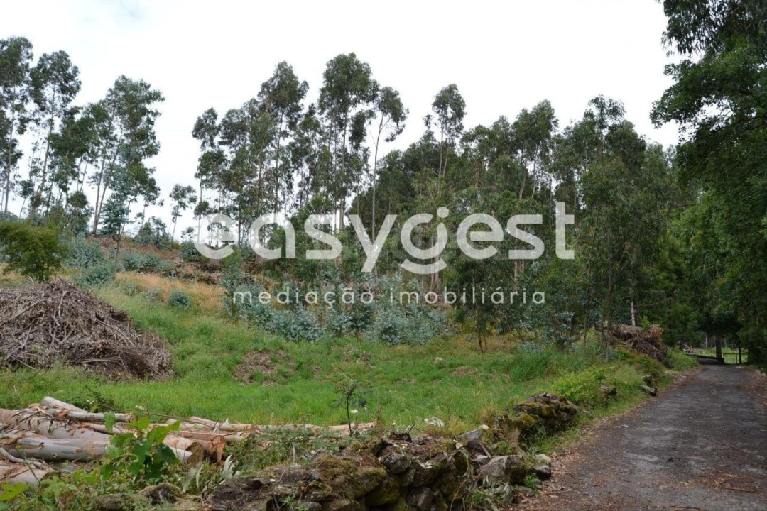 Terreno para Venda em Milheiros Foto 6