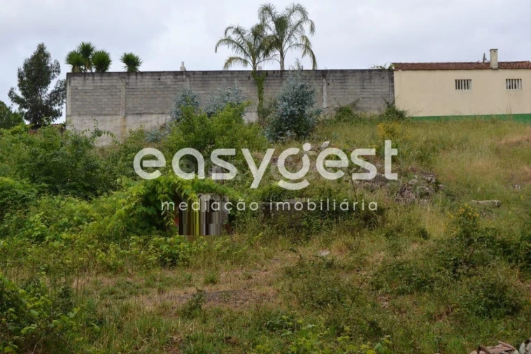 Terreno para Venda em Milheiros Foto 2