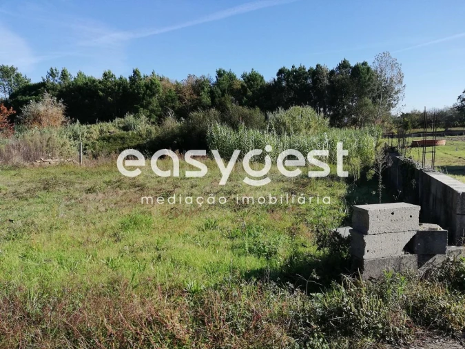 Terreno para Venda em Bustos, Troviscal e Mamarrosa Foto 4