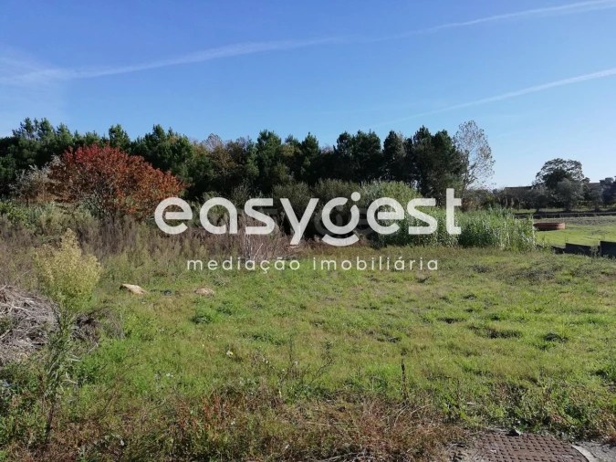 Terreno para Venda em Bustos, Troviscal e Mamarrosa Foto 5