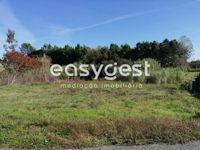 Terreno para Venda em Bustos, Troviscal e Mamarrosa Foto 6