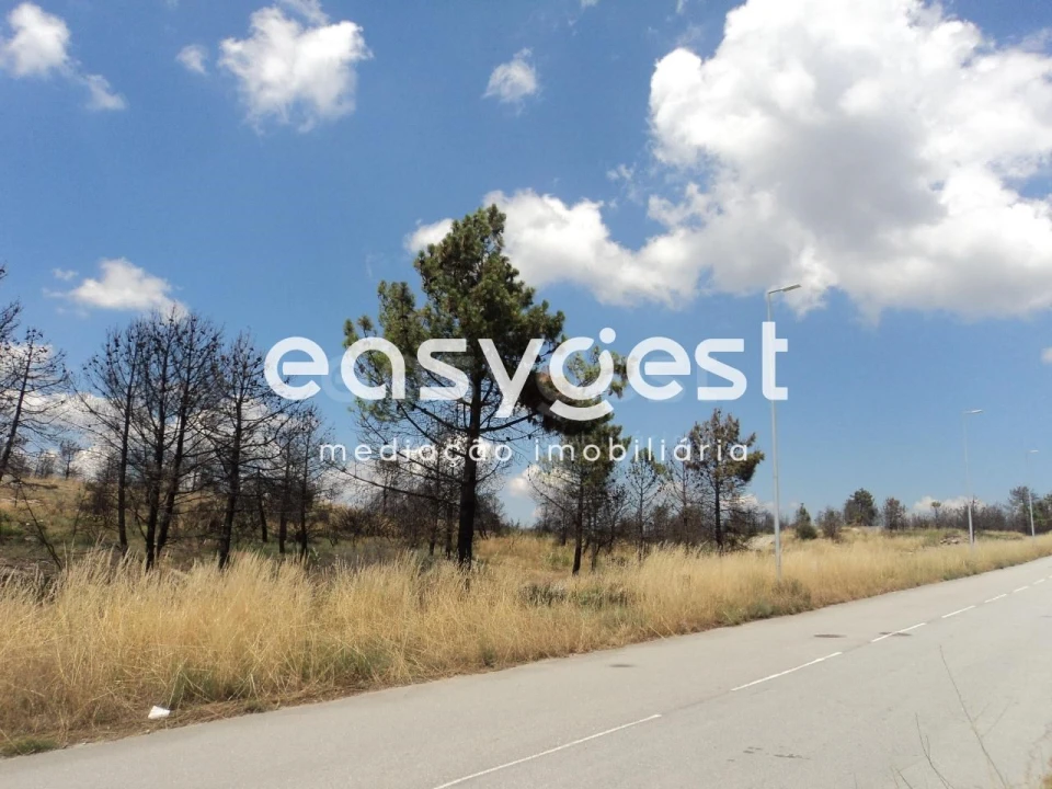 Terreno Comércio / Armazém para Venda em Alijo Foto 2