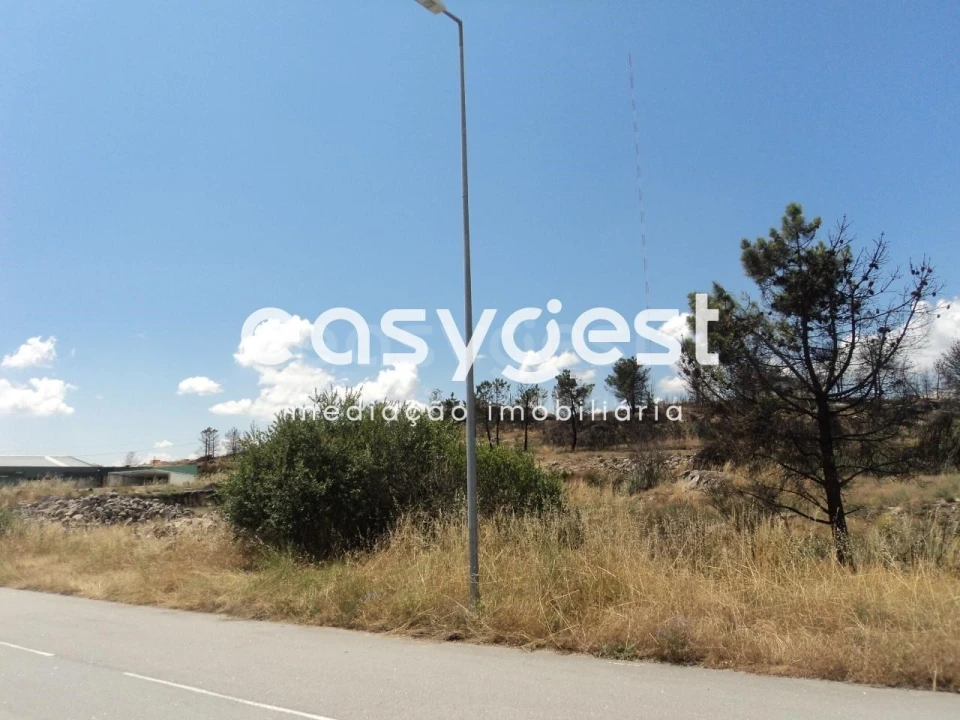 Terreno Comércio / Armazém para Venda em Alijo Foto 5