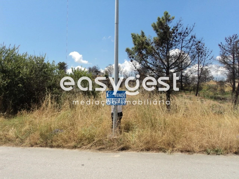 Terreno Comércio / Armazém para Venda em Alijo Foto 6