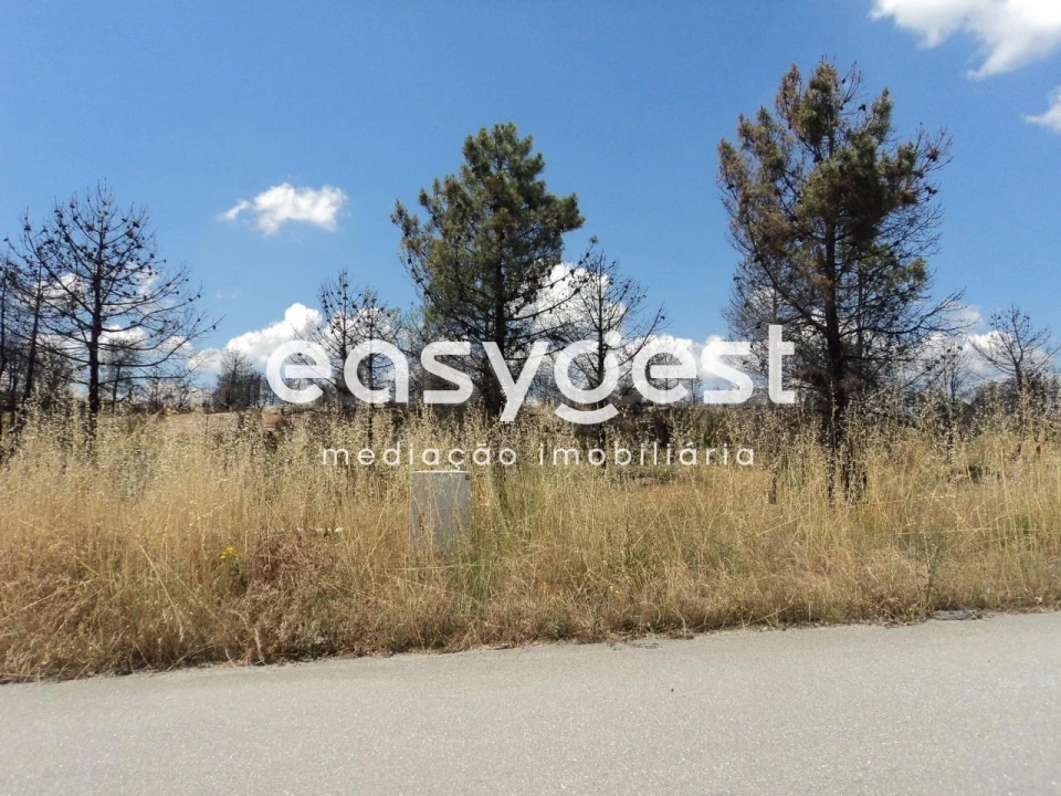 Terreno Comércio / Armazém para Venda em Alijo Foto 10