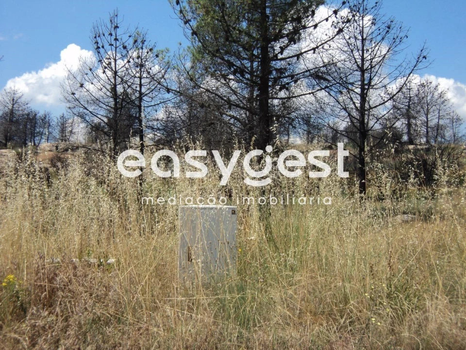 Terreno Comércio / Armazém para Venda em Alijo Foto 11