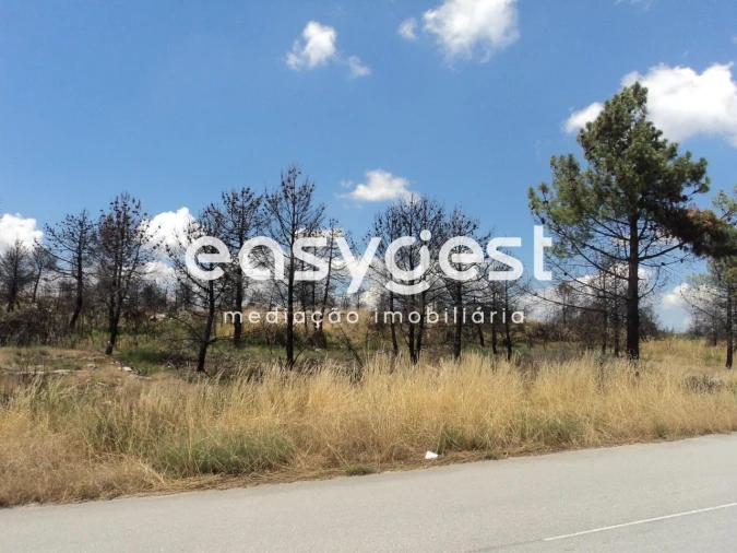 Terreno Comércio / Armazém para Venda em Alijo Foto 3