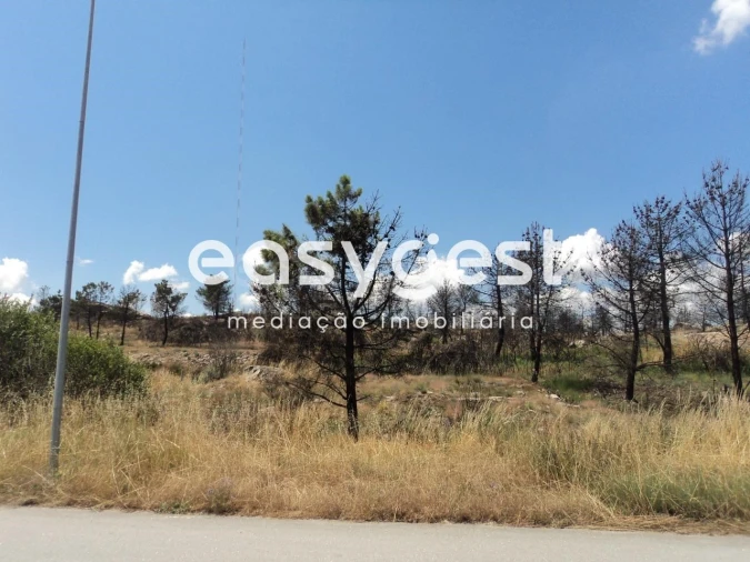 Terreno Comércio / Armazém para Venda em Alijo Foto 4