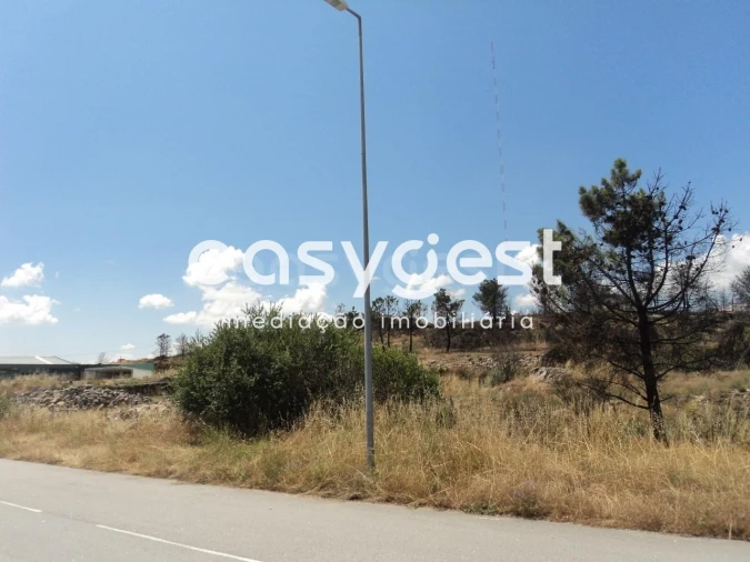 Terreno Comércio / Armazém para Venda em Alijo Foto 5