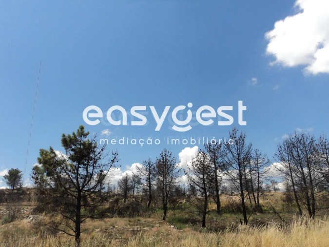 Terreno Comércio / Armazém para Venda em Alijo Foto 7