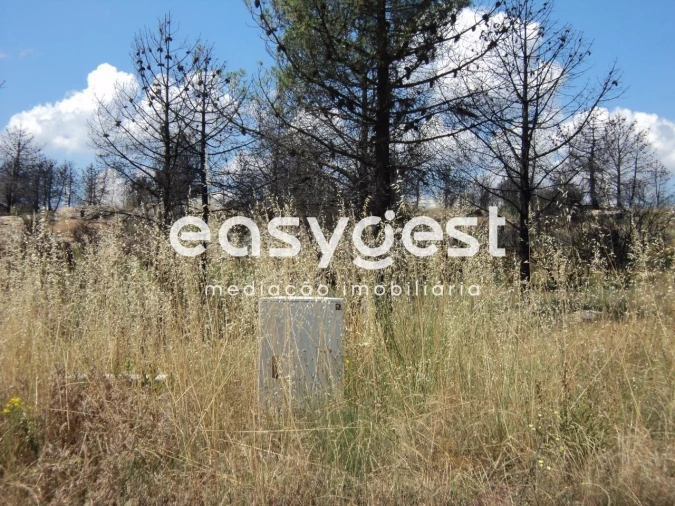 Terreno Comércio / Armazém para Venda em Alijo Foto 11