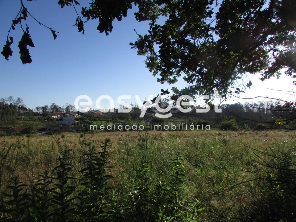Terreno Misto para Venda em Requeixo, Nossa Senhora de Fátima e Nariz Foto 2
